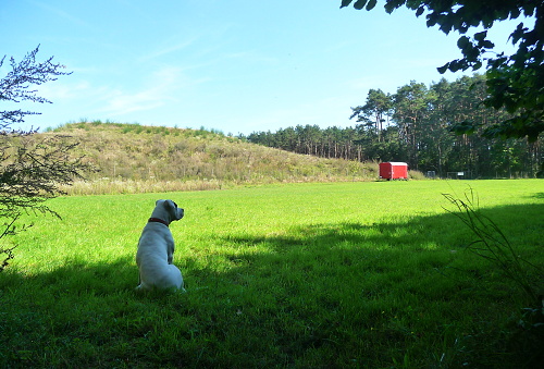 500.Hundeplatz 022