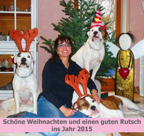 500Weihnachten 2015.2