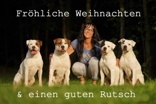Weihnachten 2015.1